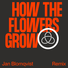 How The Flowers Grow (Jan Blomqvist Remix) [feat. Pixx]