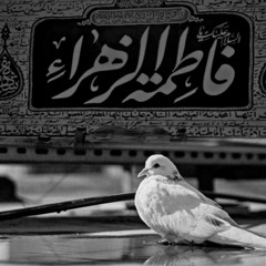 ‎⁨ريحانةُ الحور