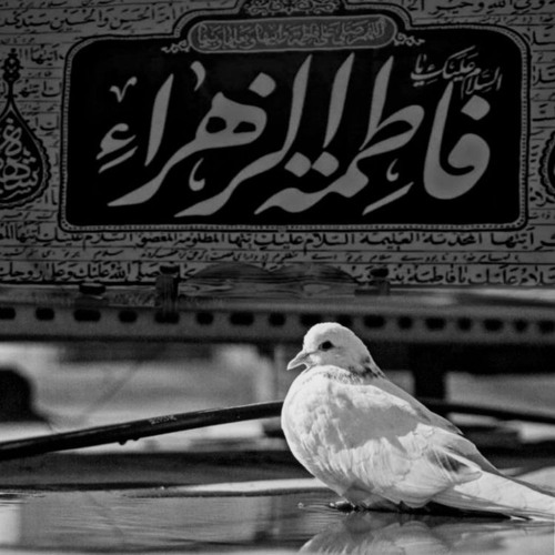 ‎⁨ريحانةُ الحور