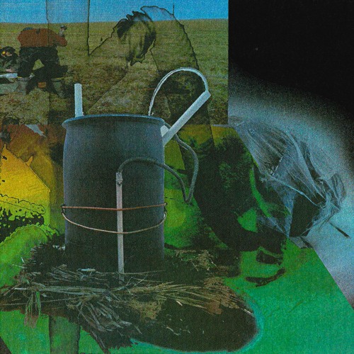 Free The Land "The essential goal of human beings is to transcend, not dominate the biological..."