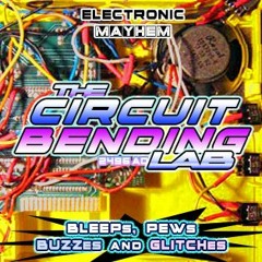 Electronic Mayhem DEMO (The Circuit Bending Lab)