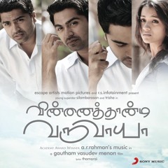 Mannipaaya