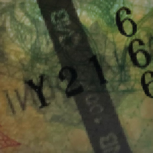 Y21 (P. Hypnotize)