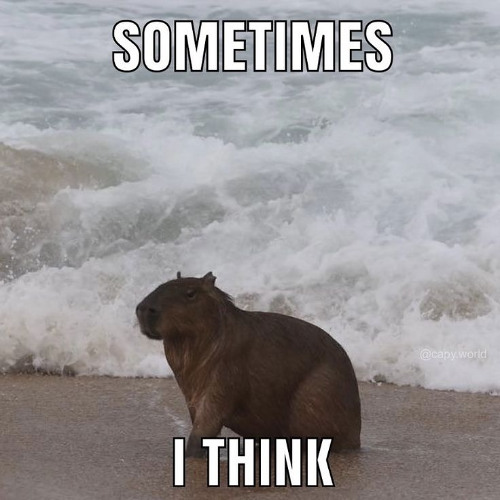 Nope your too late i already died - wifiskeleton (spedup)