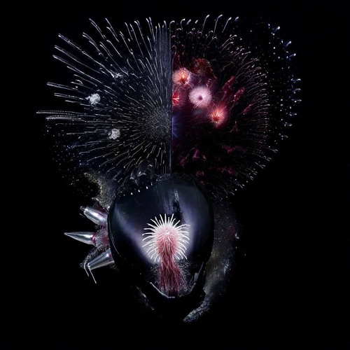 METAPHYSICA - CRYSTALLIZATION