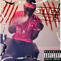 Steez Turn Me Up