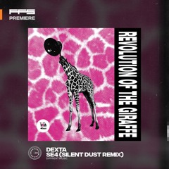 FFS Premiere: Dexta – SE4 (Silent Dust remix)