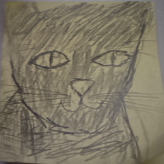 Smug Cat