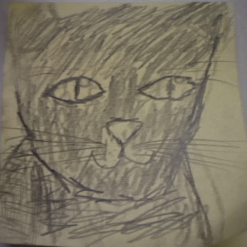Smug Cat