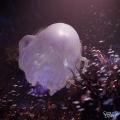 Kontinum - Hadal Biocenosis (Inc. Esgeem + Sòn du Maquís rmx) / OS02 Snippets