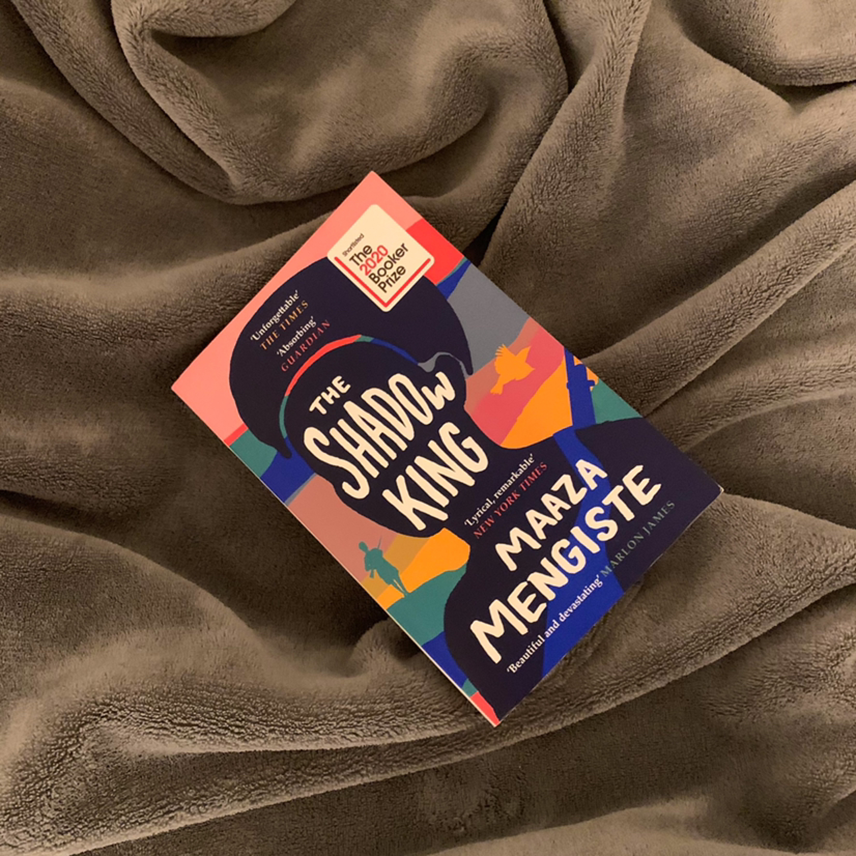 Episode 8 - The Shadow King (Author: Maaza Mengiste)