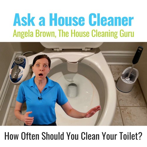 How Often Should You Clean Your Toilet? Pro Cleaning Tips