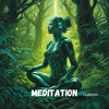 Скачать видео: Meditation