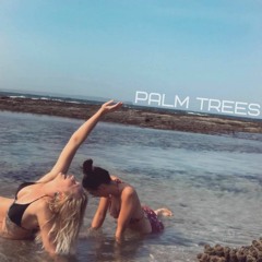 Palm Trees