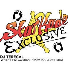 Where I'm Coming From 2019 Culture Mix (Feat Lila Ike & Protoje)
