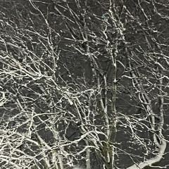 Like The Sun'll Never Come Again