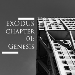 PREMIERE: Danny lo Scippo - Pulse [EXODUS Recordings]