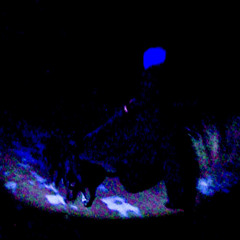 blue avenue dream (demo)