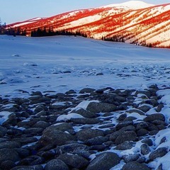 اه الذنب للى بتعمله يستاهل انك تضيع رحمة ربنا عشانه اللهم اغفر لنا و ارحمنا برحمتك 🤲❤️