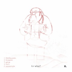 suitcase - for what?