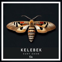 Kelebek