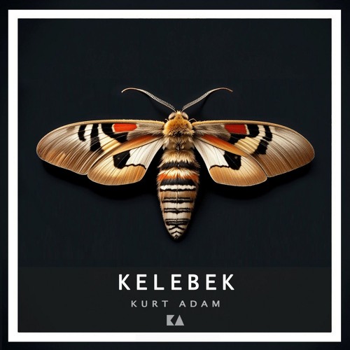 Kelebek