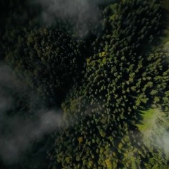 Carpathians (2021)