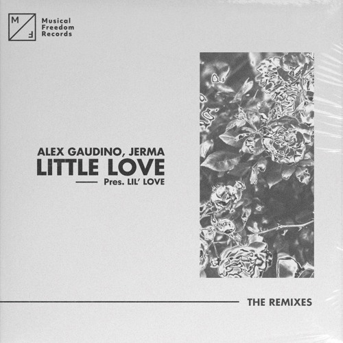 Alex Gaudino, Jerma - Little Love (pres. Lil Love)(The Remixes)