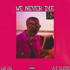 We Never Die (feat A.T Sleek)