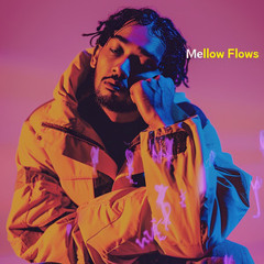 Mellow Flows