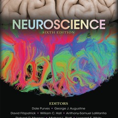 Read ebook [▶️ PDF ▶️] Neuroscience kindle