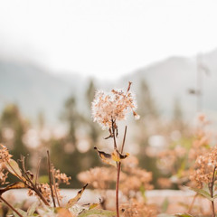 Flip a Switch (Cover)