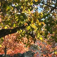 @NASOJI I'M SO HAPPY 156BPM.mp3