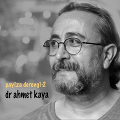 şîlanên beyro . rewşan çeliker & dr ahmet kaya