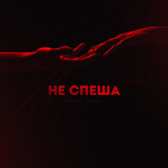 Не спеша