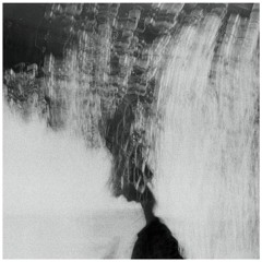 Husch & LLY - Experimentation 3