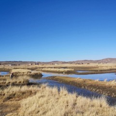 Sarantasipkakiñani (continuemos)