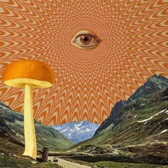 Shroom Language