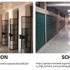 Schools