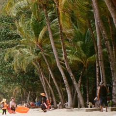 𓆉°❀⋆.ೃ࿔*:･ 𝟚𝟘𝟚𝟙 𝕕𝕖𝕞𝕠