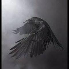 Shifting Guided Mediation Raven Method (count to 100) (100)