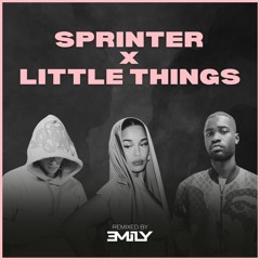 Sprinter X Little Things