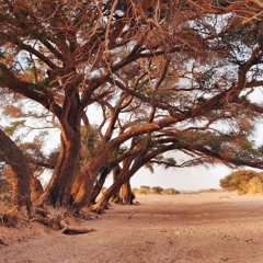 Time-Of-Our-Lives-Zhao.mp3