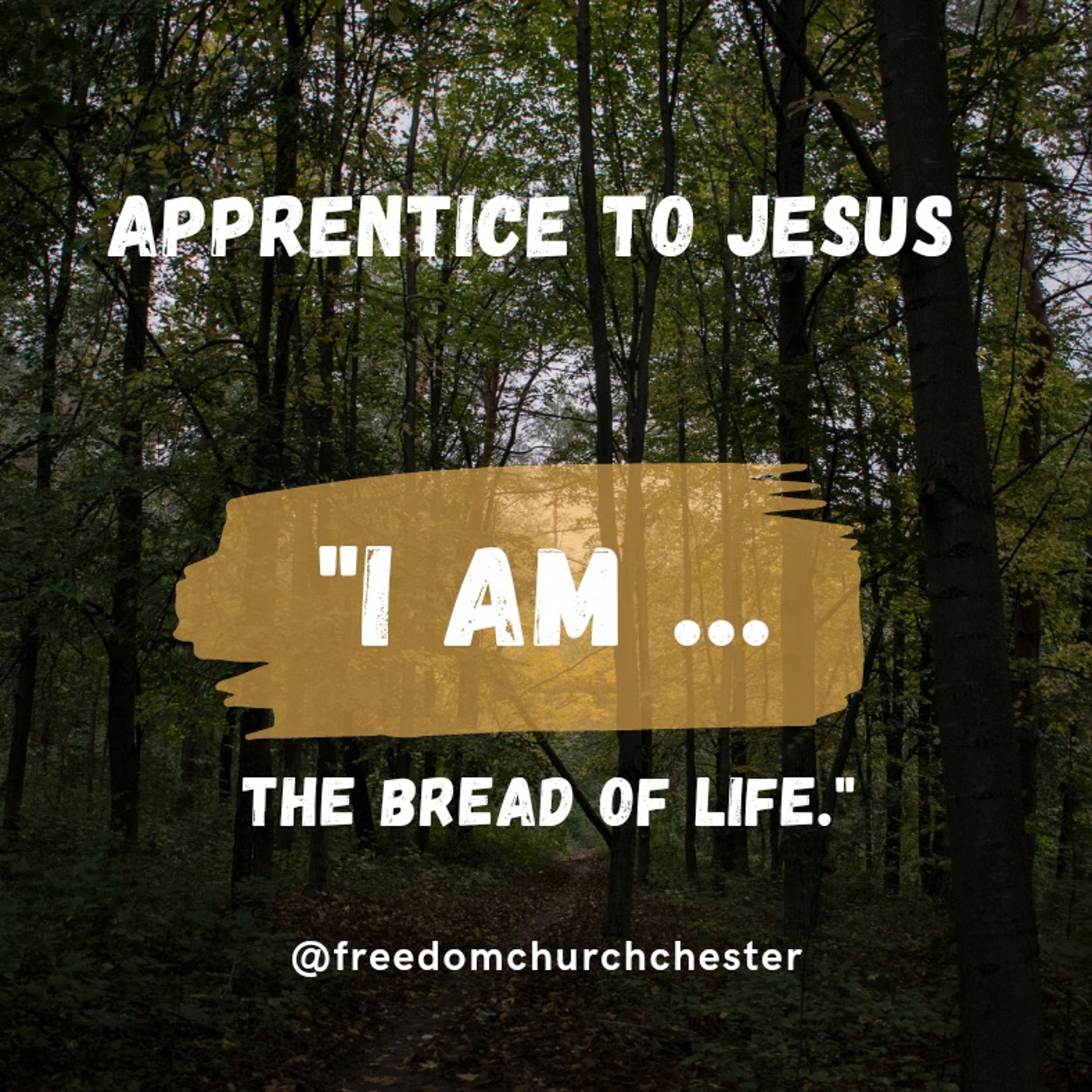 Freedom Church Chester
