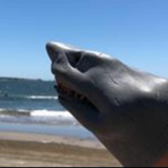Shark Pup-pet's Playlist