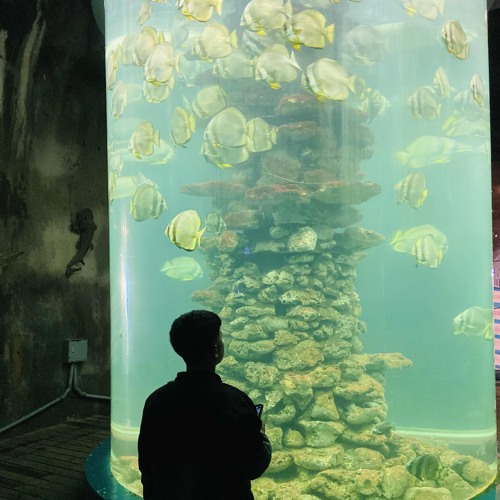 Ôi thôi chết cuốn thế-Vietmix2025✈️✈️✈️✈️