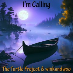 I'm Calling - The Turtle Project & winkandwoo