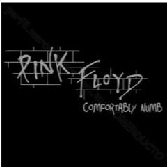 COMFORTABLY NUMB (Pink Floyd)