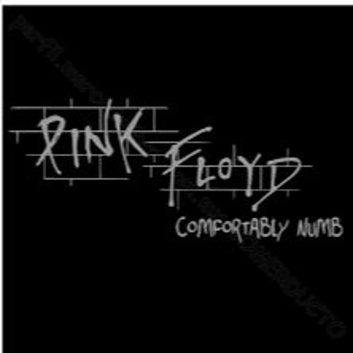 COMFORTABLY NUMB (Pink Floyd)