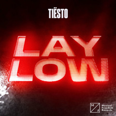 Tiesto vs. Pakito - Living On Video vs. Lay Low (Tension Base Bootleg)